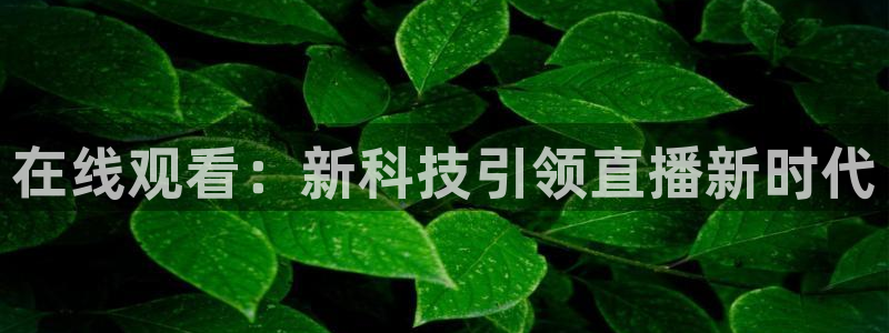 新闻图片