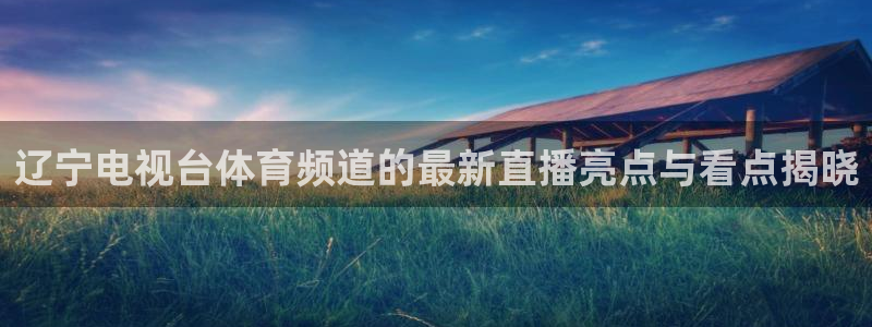辽宁电视台体育频道的最新直播亮点与看点揭晓