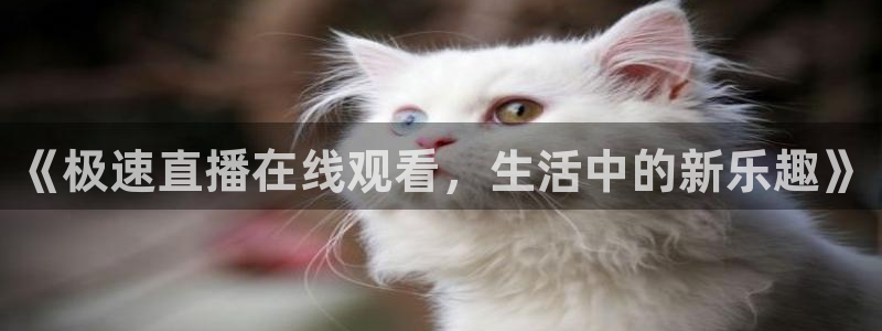 《极速直播在线观看，生活中的新乐趣》